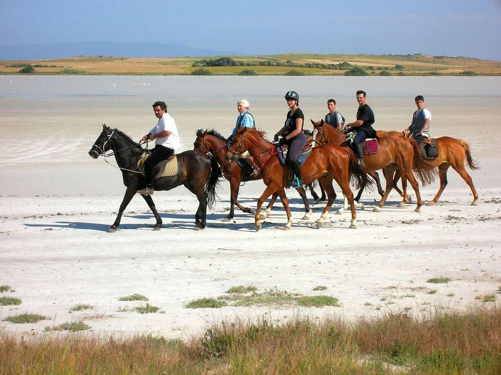Horse Country Resort Congress & Spa - Hotel Ribot Arborea Zewnętrze zdjęcie